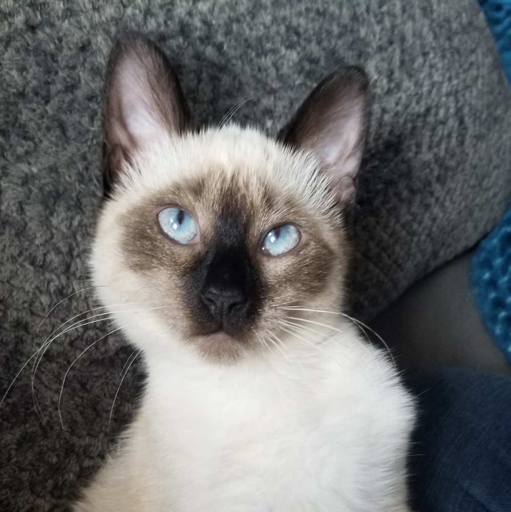 Meet your Posher, Heather